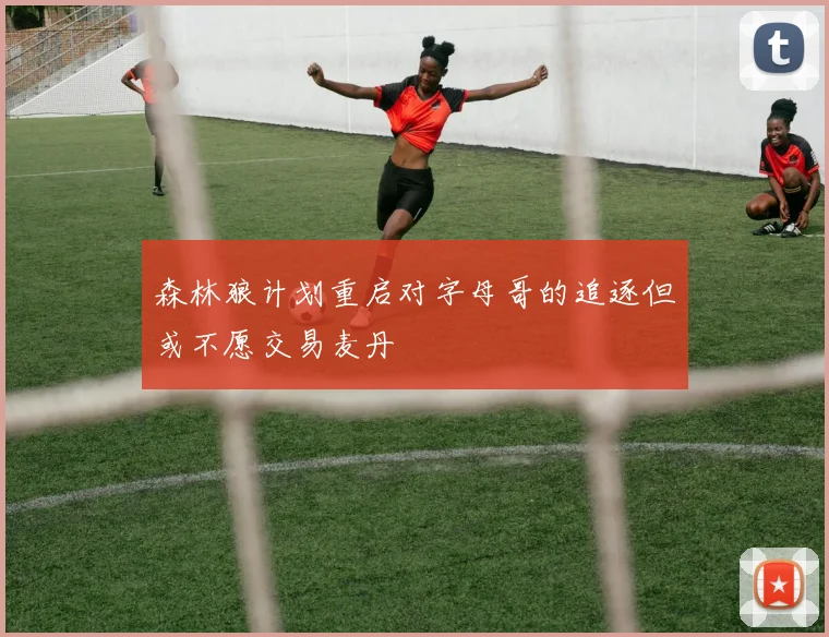 森林狼计划重启对字母哥的追逐但或不愿交易麦丹